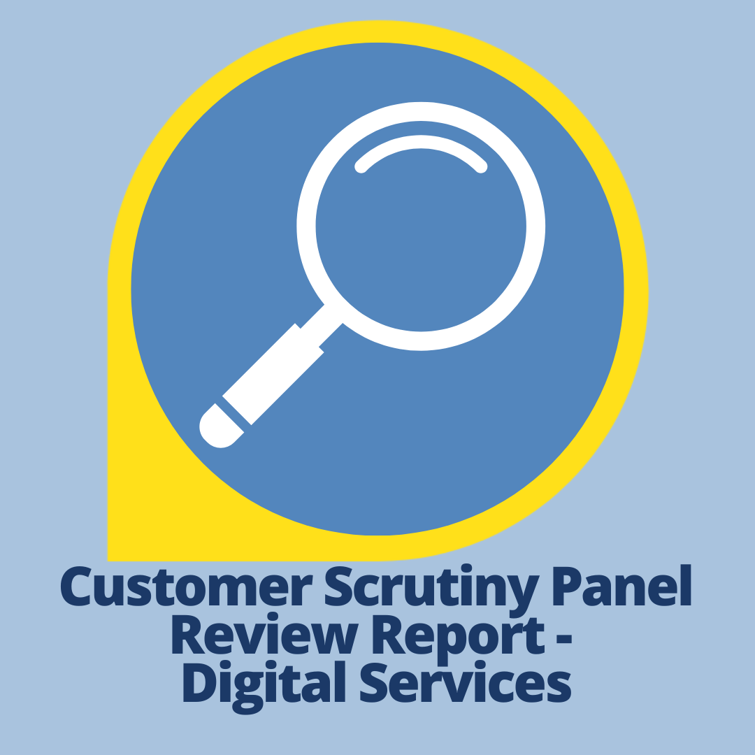 Customer Scrutiny Panel Review Report - Digital Services